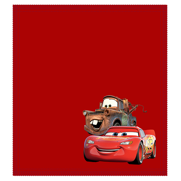 Disney Shammy