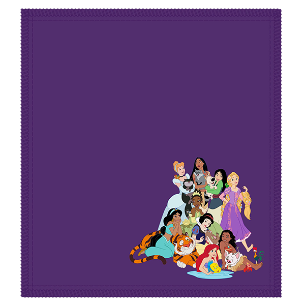 Disney Shammy