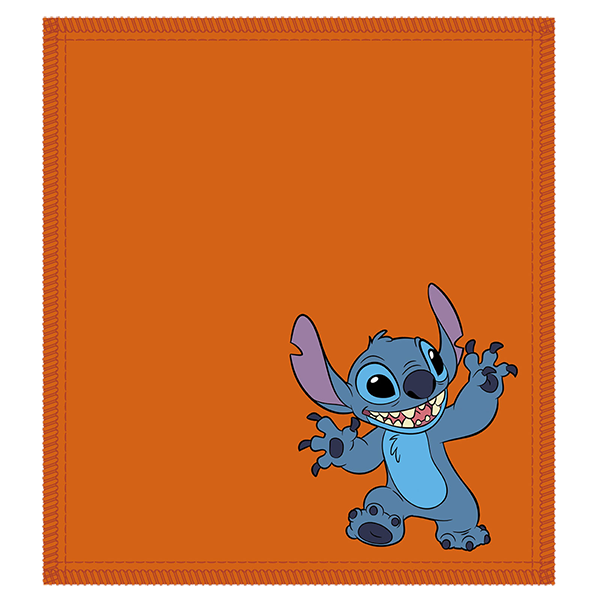 Disney Shammy