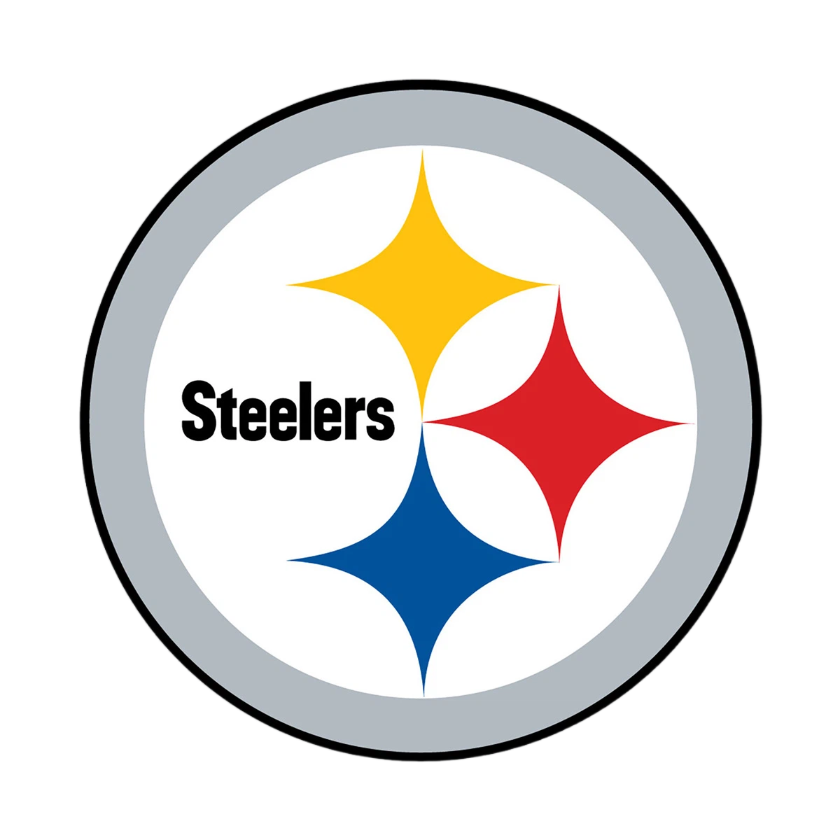 NFL Round Rubber Shammy