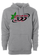 Columbia 300 Christmas Hoodie