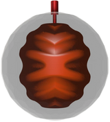 Roto Grip Perfect Gem