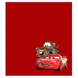 Disney Shammy