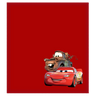 Disney Shammy