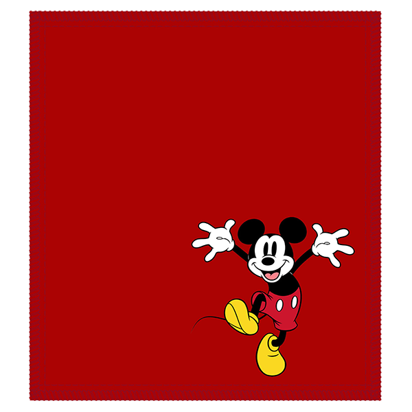 Disney Shammy
