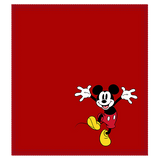 Disney Shammy