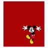Disney Shammy