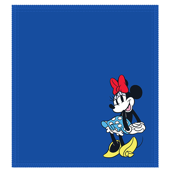 Disney Shammy