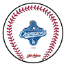 KR Strikeforce MLB Round Rubber Shammy