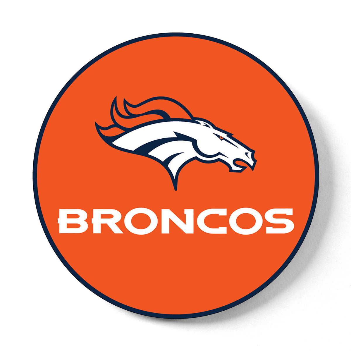 NFL Round Rubber Shammy