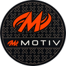 Motiv Grip Disk Shammy