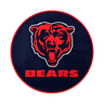 NFL Round Rubber Shammy