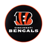 NFL Round Rubber Shammy