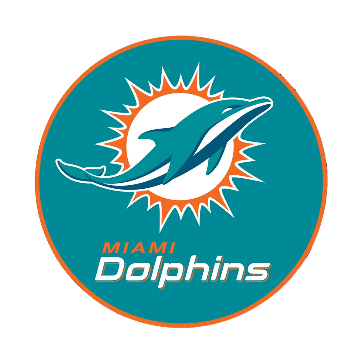 NFL Round Rubber Shammy