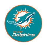 NFL Round Rubber Shammy