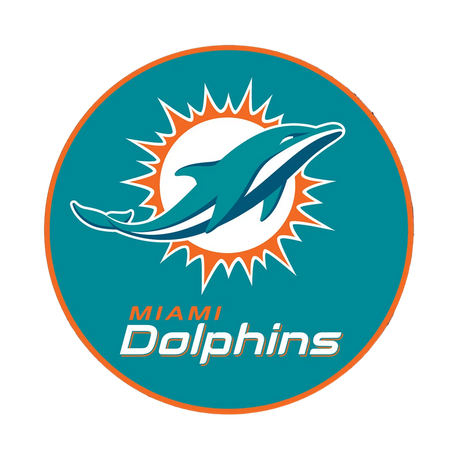 NFL Round Rubber Shammy