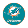 NFL Round Rubber Shammy