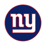 NFL Round Rubber Shammy