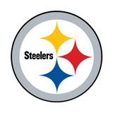 NFL Round Rubber Shammy