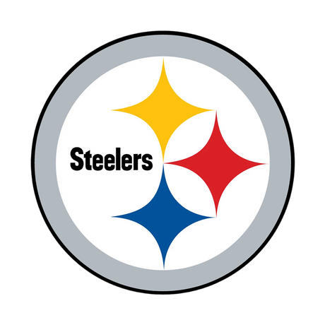 NFL Round Rubber Shammy