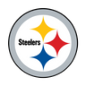 NFL Round Rubber Shammy