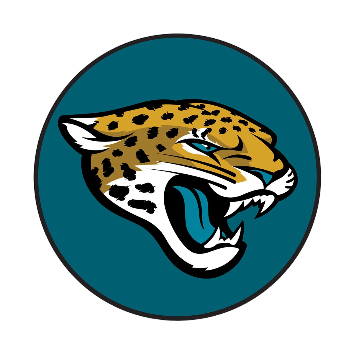NFL Round Rubber Shammy