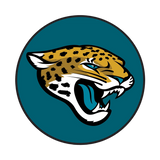 NFL Round Rubber Shammy