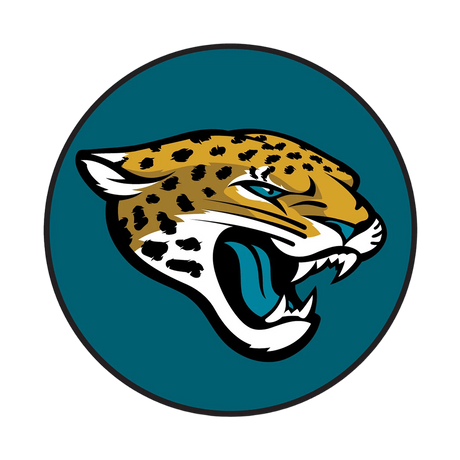 NFL Round Rubber Shammy
