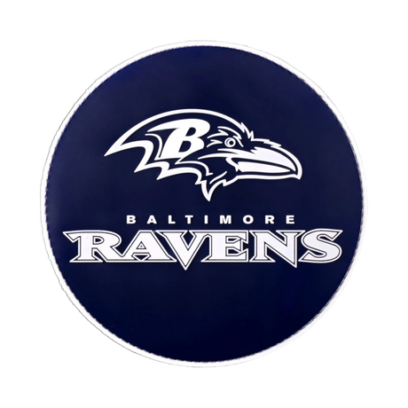 NFL Round Rubber Shammy