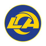 NFL Round Rubber Shammy