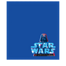 Disney Shammy
