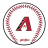 KR Strikeforce MLB Round Rubber Shammy