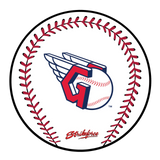 KR Strikeforce MLB Round Rubber Shammy