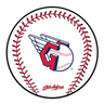 KR Strikeforce MLB Round Rubber Shammy