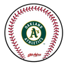 KR Strikeforce MLB Round Rubber Shammy