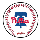 KR Strikeforce MLB Round Rubber Shammy