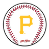 KR Strikeforce MLB Round Rubber Shammy