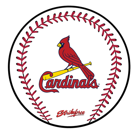 KR Strikeforce MLB Round Rubber Shammy
