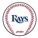 KR Strikeforce MLB Round Rubber Shammy