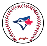 KR Strikeforce MLB Round Rubber Shammy