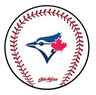 KR Strikeforce MLB Round Rubber Shammy