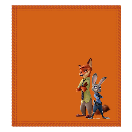 Disney Shammy