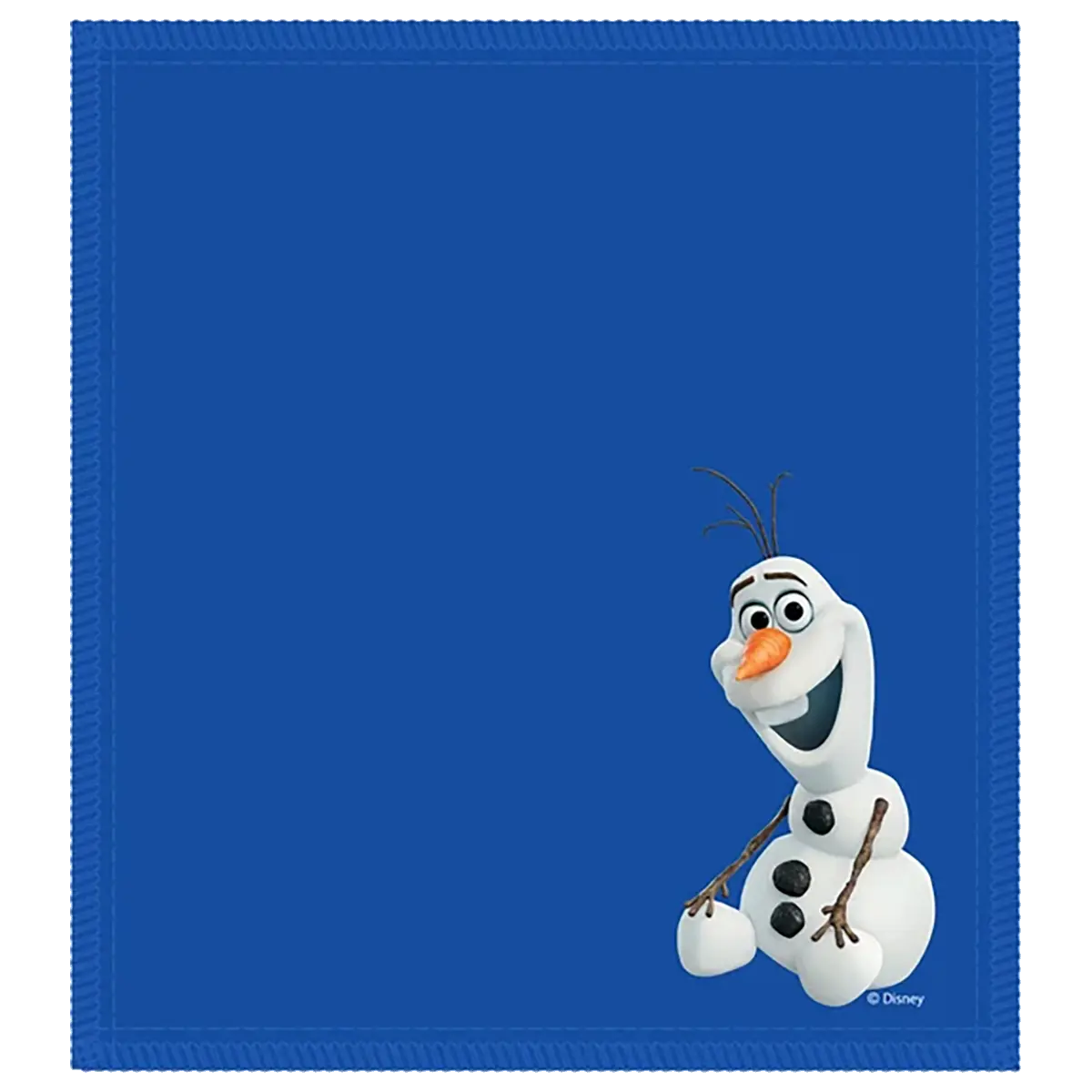 Disney Shammy