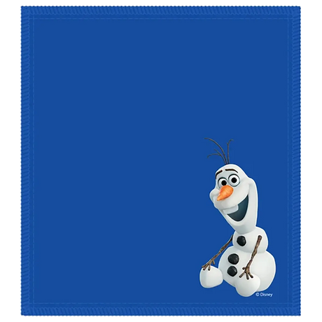 Disney Shammy