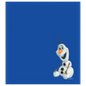 Disney Shammy