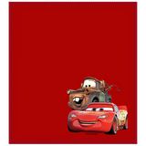 Disney Shammy