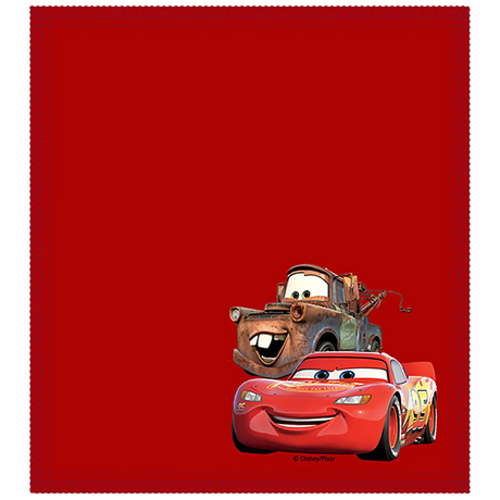 Disney Shammy