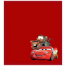 Disney Shammy