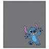 Disney Shammy